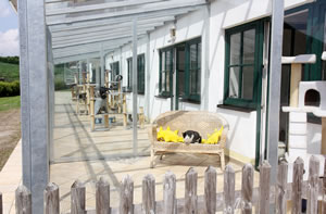 Katzenbalkon