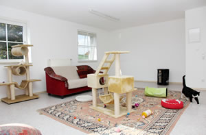 Katzenzimmer